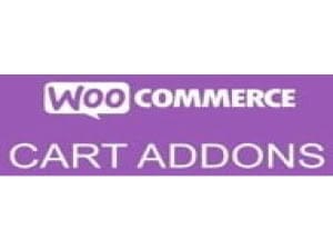 Wtyczka Addon Plugin WooCommerce Cart Add-ons