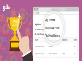 Wtyczka Addon Plugin YITH WooCommerce Points and Rewards Premium