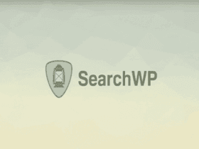 SearchWP Polylang Addon Wordpress Plugin | Sklep z dodatkami premium WP Allkeystore.pl