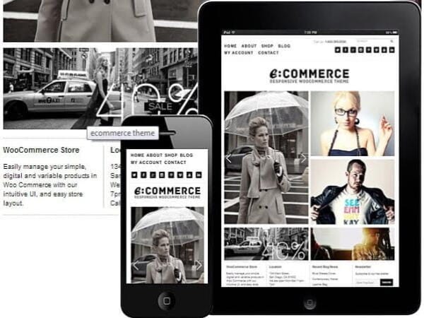 Szablon Dessign Ecommerce Woocommerce Themes