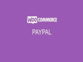 Woocommerce Paypal Pro Wtyczka Addon Plugin Woocommerce Paypal Pro