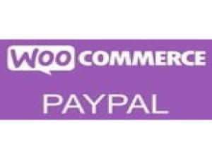 Wtyczka Addon Plugin Woocommerce Paypal Pro