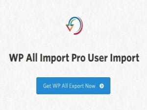 Wtyczka Soflyy Wp All Import Pro User Import Addon | Sklep z dodatkami premium WP Allkeystore.pl