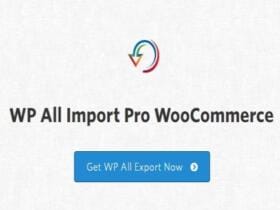 Wtyczka Soflyy Wp All Import Pro Woocommerce Addon