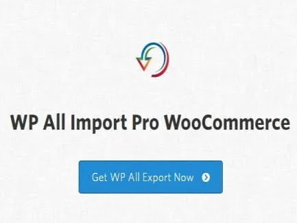 Wtyczka Soflyy Wp All Import Pro Woocommerce Addon