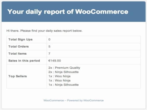 Wtyczka Addon Plugin Woocommerce Sales Report Email