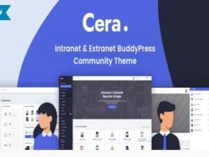 Wtyczka Amp Cache | Sklep z dodatkami premium WP Allkeystore.pl