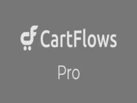 CartFlows Pro Wtyczka Shoplentor Woolentor Pro For Elementor | Sklep z dodatkami premium WP Allkeystore.pl