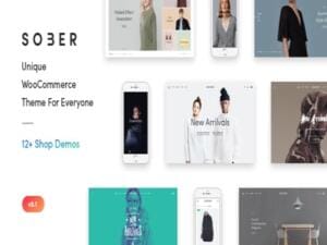 Szablon Sober - WooCommerce WordPress Theme | Sklep z dodatkami premium WP Allkeystore.pl