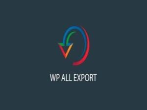 Wtyczka Soflyy WP All Export Pro Woocommerce Addon | Sklep z dodatkami premium WP Allkeystore.pl