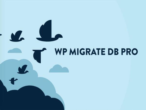 Wtyczka WP Migrate DB Pro + Addons | Sklep z dodatkami premium WP Allkeystore.pl