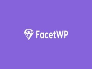 Wtyczka FacetWP Caching Addon | WPGPLHub