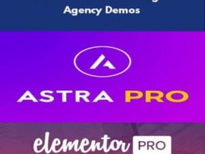 Astra Pro + Elementor Pro + Ponad 200 Demo + Astra Premium Sites