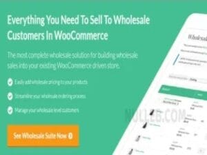 Wholesale Prices Premium WooCommerce